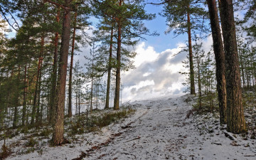 Картинка природа дороги зима деревья снег лес