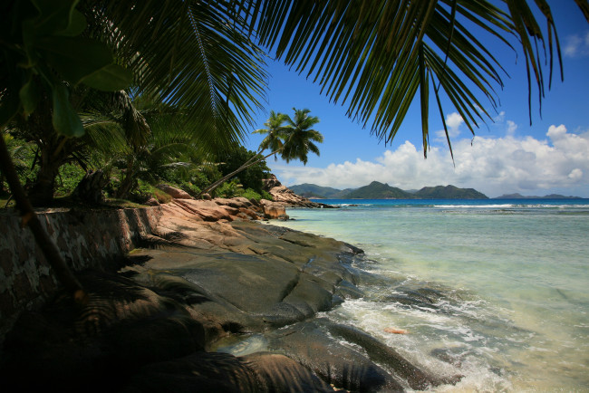 Обои картинки фото природа, тропики, берег, пальмы, море, пляж, океан