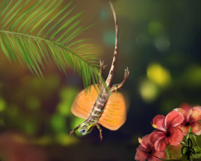Картинка рисованные животные +ящерицы цветы ящерица пальмы