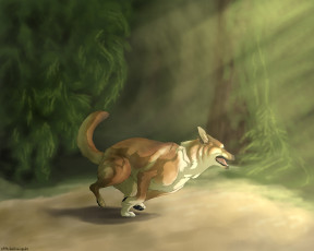 Картинка рисованное животные +собаки бег собака