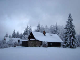 Картинка города -+здания +дома зима ели дом снег
