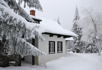Картинка города -+здания +дома лес деревья зима снег иней дом