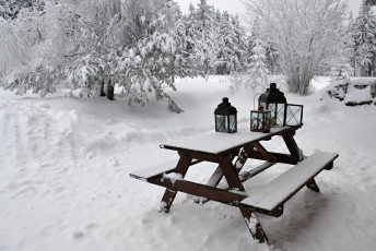 Картинка природа зима лес деревья снег иней стол фонари