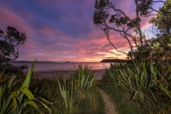 Картинка природа восходы закаты океан скалы трава зарево