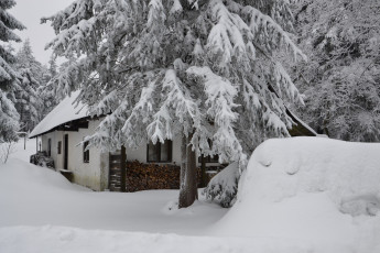 Картинка природа зима лес деревья снег иней дом