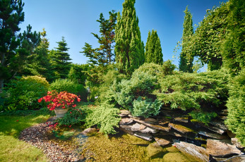 Картинка природа парк сад деревья цветы кусты ручей
