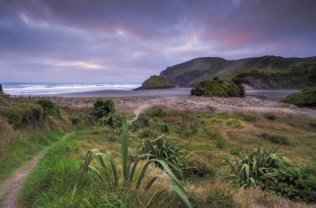 Картинка природа побережье океан скалы трава