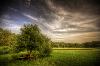 Картинка природа пейзажи лес поле трава облака