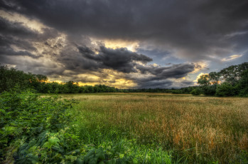 Картинка природа пейзажи лес поле трава облака