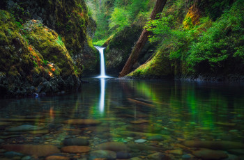 Картинка природа водопады река водопад орегон сентябрь осень лес штат сша
