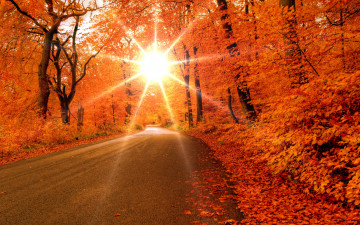Картинка природа дороги рассвет солнце осень дорога