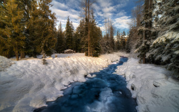 Картинка природа зима снег лес река