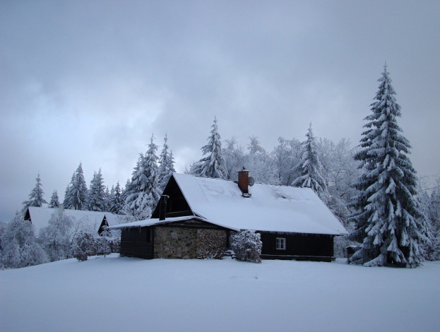 Обои картинки фото города, - здания,  дома, зима, ели, дом, снег