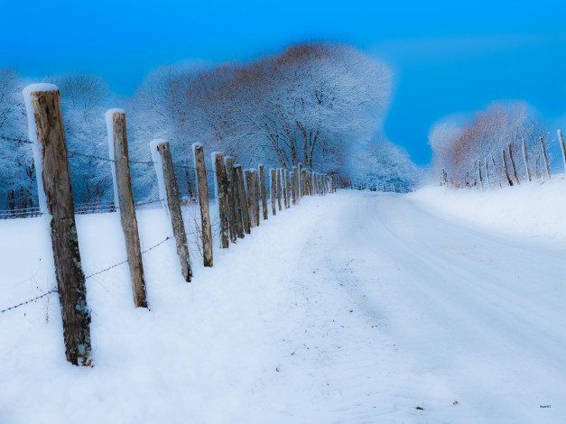 Обои картинки фото природа, зима, дорога, забор, снег