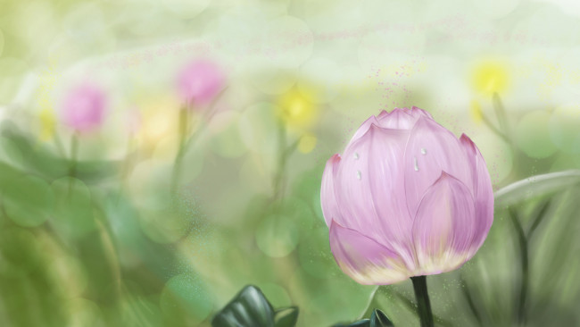 Обои картинки фото рисованное, цветы, листья, пруд, капли, водяная, лилия, лотос
