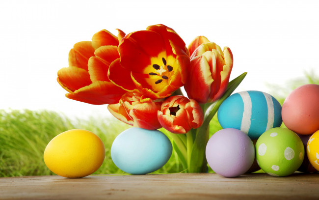 Обои картинки фото праздничные, пасха, весна, цветы, яйца, тюльпаны