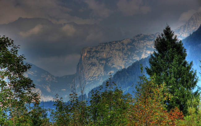 Обои картинки фото природа, горы, австрия, salzburg, леса, деревья, ветки, листья