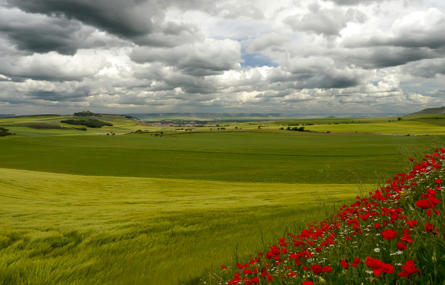 Обои картинки фото природа, поля, италия, тоскана, небо, облака, холмы, трава, цветы, деревья, дом