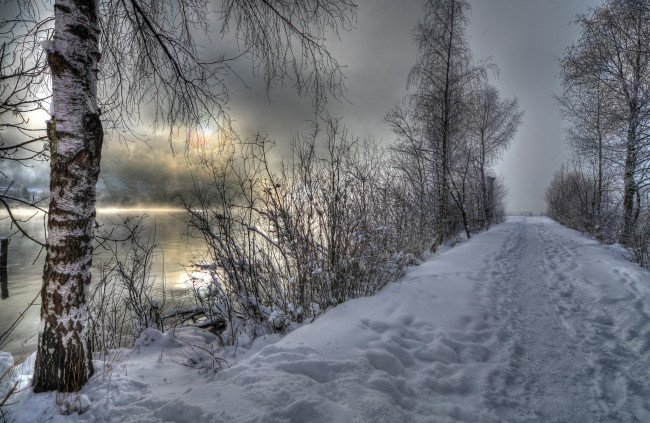 Обои картинки фото природа, зима, река, берёза, снег