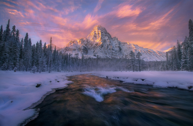 Обои картинки фото природа, зима, канада, альберта, национальный, парк, банф, гора, Чефрен, лес, река, поток, снег