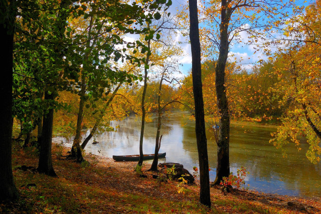 Обои картинки фото природа, реки, озера, лодка, река, лес, небо, осень, листья, деревья