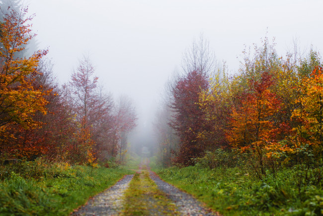Обои картинки фото природа, дороги, осень, деревья, листва, тракт