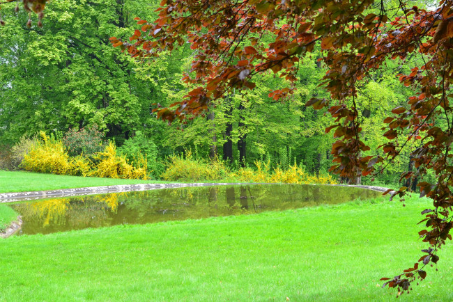 Обои картинки фото природа, парк, деревья, озеро, зелень