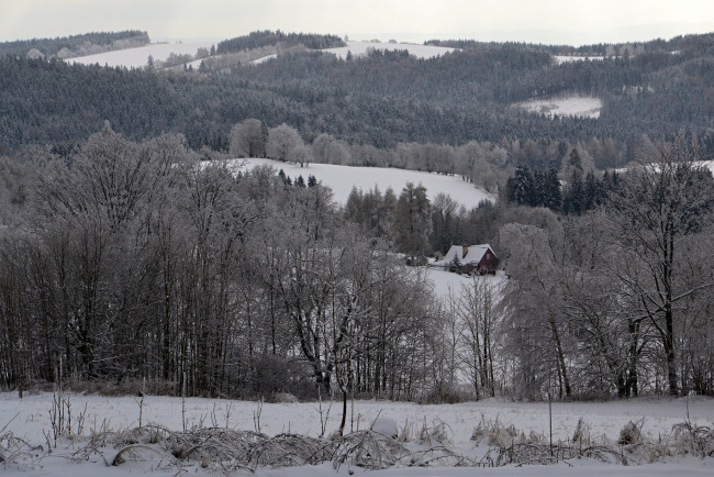 Обои картинки фото природа, зима, снег, иней, лес, деревья