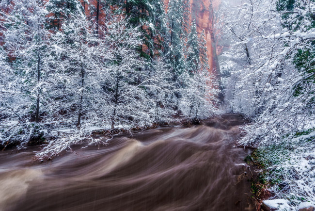 Обои картинки фото природа, зима, горы, река, снег, деревья, поток, пейзаж