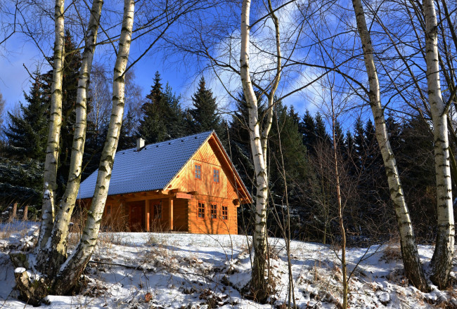 Обои картинки фото природа, зима, лес, деревья, снег, иней, дом