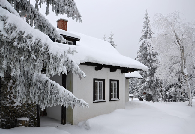 Обои картинки фото города, - здания,  дома, лес, деревья, зима, снег, иней, дом
