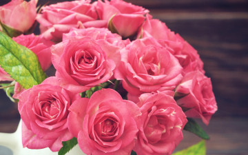 Картинка цветы розы розовые