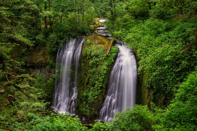 Обои картинки фото природа, водопады, заросли, водопад, поток, деревья, лес