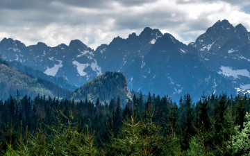 Картинка природа горы вершины лес
