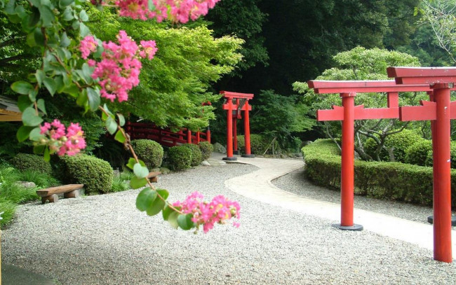 Обои картинки фото природа, парк, арки, мост, Япония, аллея, цветение, деревья