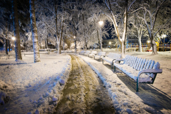 Картинка природа парк скамья болгария kazanlak зима