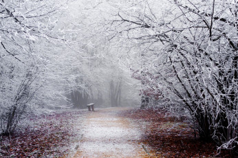 обоя природа, парк, winter, snow, shop, park, track, branches, nature, road, trees, bench, frost