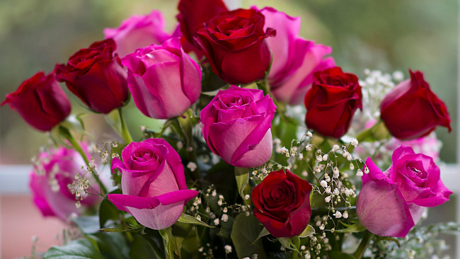 Обои картинки фото цветы, розы, розовые, бордовые, бутоны, букет