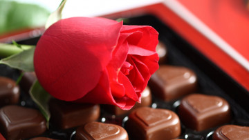 обоя праздничные, день святого валентина,  сердечки,  любовь, роза, красная, конфеты