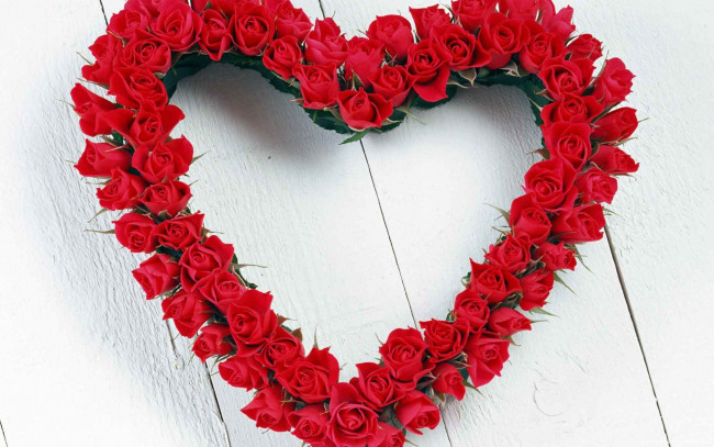 Обои картинки фото цветы, розы, красные, сердечко