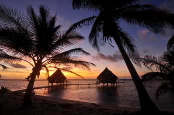 Картинка природа тропики пальмы пляж бунгало вечер отдых побережье берег океан
