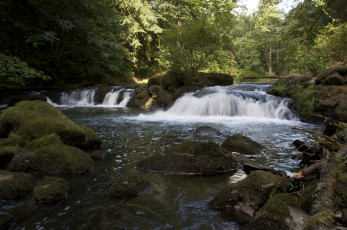 Картинка природа водопады поток лес река течение