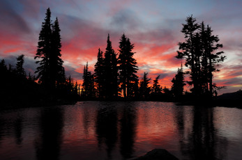 Картинка природа восходы закаты деревья ночь