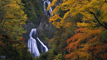 Картинка природа водопады лес вода