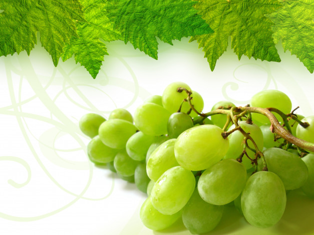 Обои картинки фото еда, виноград, лист, гроздь