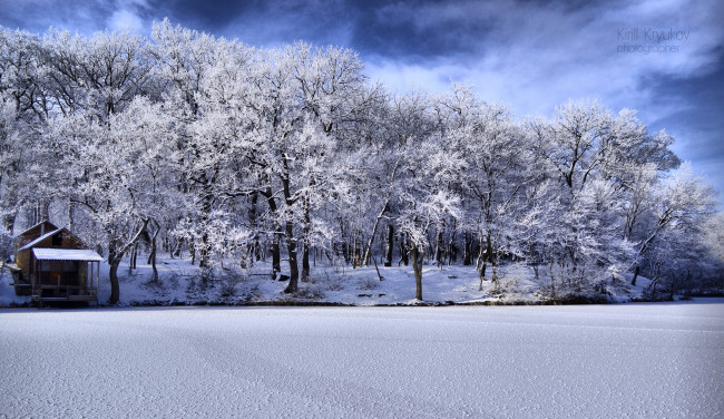 Обои картинки фото природа, зима, снег, лес, мороз
