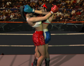 Картинка 3д графика people люди бокс ринг