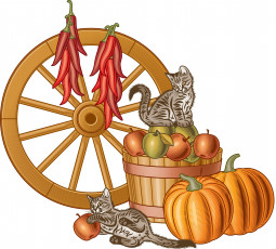 Картинка векторная+графика животные+ animals тыквы яблоки перец кошки колесо