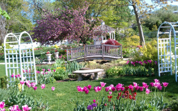 Картинка природа парк беседка клумбы весна