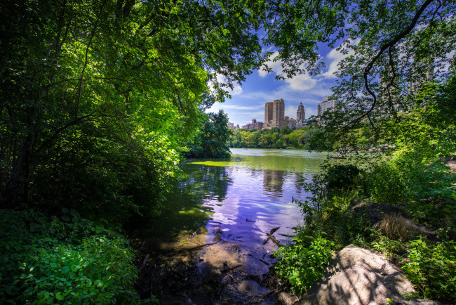 Обои картинки фото central park - new york city, города, нью-йорк , сша, простор